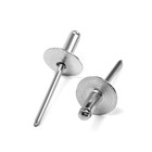 Заклепки вытяжные ТУНДРА krep, алюминий-сталь, увел.борт 14 мм, 4.8×14 мм, 250 шт. - Фото 3