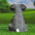 Садовая фигура "Щенок Миттельшнауцера" 19х15см - фото 23697125