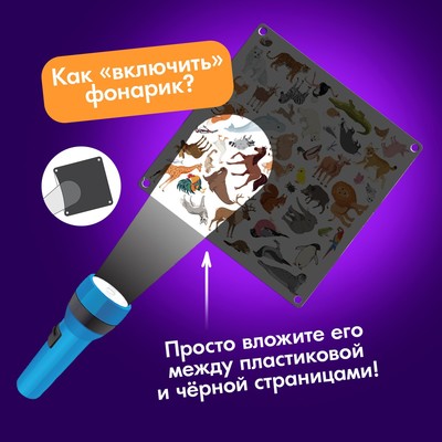 Настольная игра «Шпионы в зоопарке», 50 карточек, 4 фонарика, 5+