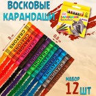 Мелки восковые, набор 12 штук, высота 8 см, d=0.8 см - Фото 1