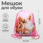 Мешок для обуви «Самая милая» (мягкий полиэстер, плотность 210D) 42×34 см - Фото 1