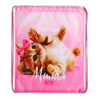 Мешок для обуви «Самая милая» (мягкий полиэстер, плотность 210D) 42×34 см - Фото 3