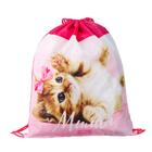 Мешок для обуви «Самая милая» (мягкий полиэстер, плотность 210D) 42×34 см - Фото 2