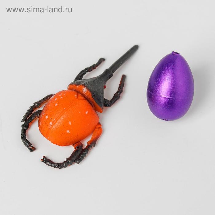 Растущая игрушка «Насекомое + яйцо» 12х9х1,5 см - Фото 1