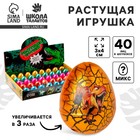 Растущая игрушка Funny toys «Яйцо с картинкой цветное, Динозавры» 3.5×4.5 см, МИКС - Фото 1
