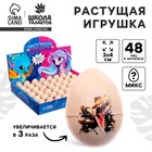 Растущая игрушка «Яйцо с картинкой. Динозавры», 3×4 см, МИКС - Фото 1