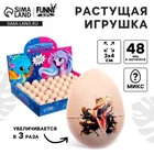 Растущая игрушка Funny toys «Яйцо с картинкой. Динозавры», 3×4 см, МИКС - Фото 1