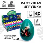 Растущая игрушка «Яйцо с картинкой. Динозавры», 2×3 см, МИКС - Фото 1