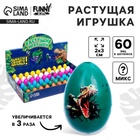 Растущая игрушка «Яйцо с картинкой. Динозавры», 2×3 см, МИКС - Фото 1