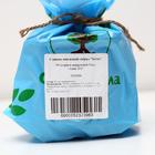 Саженец СВГ (горшок р9) Бетта, 1 шт, Осень 2025 - Фото 2