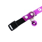 Ошейник кошачий, 29×1 см, с лапками, цвет МИКС - Фото 4