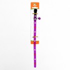 Ошейник кошачий, 29×1 см, с лапками, цвет МИКС - Фото 6