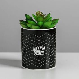 Керамическое кашпо «Please grow», 8 х 9,5 см