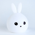 Раскрась светильник «Зайчик», с фломастерами, с батарейками, 3+ - Фото 3