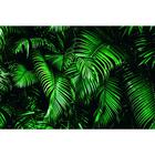 Фотобаннер, 300 × 200 см, с фотопечатью, люверсы шаг 1 м, «Зелёные листья» - фото 294954465