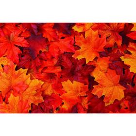 Фотобаннер, 300 × 200 см, с фотопечатью, люверсы шаг 1 м, «Осенние листья»