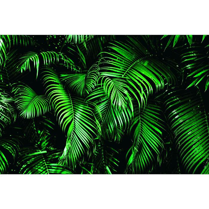 Фотобаннер, 250 × 200 см, с фотопечатью, люверсы шаг 1 м, «Зелёные листья» - фото 1908581939