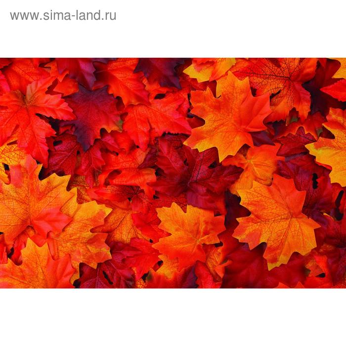 Фотобаннер, 250 × 200 см, с фотопечатью, люверсы шаг 1 м, «Осенние листья» - Фото 1