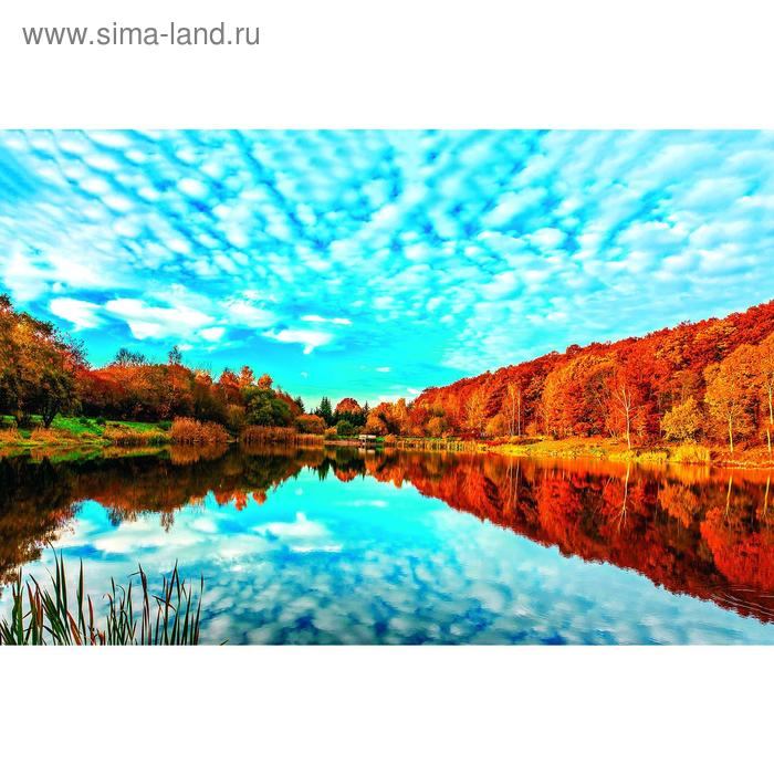 Фотобаннер, 250 × 200 см, с фотопечатью, люверсы шаг 1 м, «Осень на реке» - Фото 1