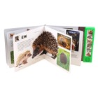 Книга "Животные леса" Моя первая библиотека, музыкальная - Фото 2