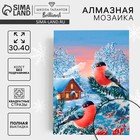 Новогодняя алмазная мозаика «Новый год. Снегири на ветке», 30 х 40 см - Фото 1