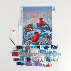 Новогодняя алмазная мозаика «Новый год. Снегири на ветке», 30 х 40 см - Фото 4