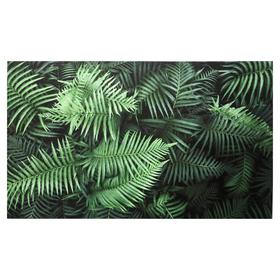 Картина на холсте "Листья папоротника" 60х100 см