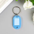 Бирка для ключей на кольце «Идентификатор. Крошка», пластик, МИКС - Фото 2