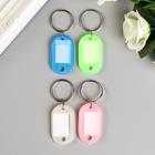 Бирка для ключей на кольце «Идентификатор. Крошка», пластик, МИКС - Фото 1