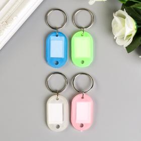 Бирка для ключей на кольце «Идентификатор. Крошка», пластик, МИКС 623942