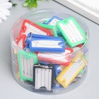 Бирка для ключей на кольце «Идентификатор. Адресат», пластик, МИКС - Фото 4