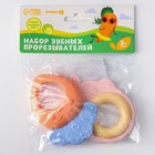 Набор погремушек - прорезывателй «Овощной микс», 2 шт 4754407 - фото 16227748