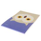 Блокнот А6, 40 листов на клею "Сова. Дизайн-1", обложка мелованный картон, блок офсет 70 г/м2 - Фото 2