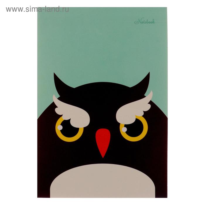 Блокнот А6, 40 листов на клею "Сова. Дизайн-4", обложка мелованный картон, блок офсет 70 г/м2 - Фото 1