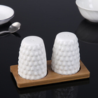 Набор для специй «Рельеф», 2 шт: солонка и перечница, на подставке - Фото 1