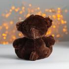 Мягкая игрушка «Мишка», цвет коричневый - Фото 2