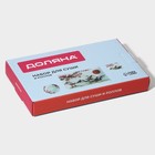 Набор для суши Доляна «Рассвет в горах», 3 предмета: соусники 8×2 см, 8×6 см, подставка 25×15×2 см, стекло - Фото 8