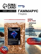 Корм для рыб и черепах «Пижон» гаммарус тушка, 100 г - Фото 1