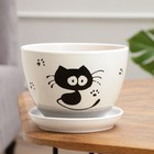 Горшок для цветов «Кот», 1.65 л, d=17 см, h=13 см, керамика, с поддоном, белый - Фото 2