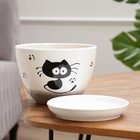 Горшок для цветов «Кот», 1.65 л, d=17 см, h=13 см, керамика, с поддоном, белый - Фото 3