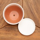 Горшок для цветов «Кот», 1.65 л, d=17 см, h=13 см, керамика, с поддоном, белый - Фото 5