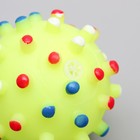 Игрушка пищащая "Бактерия" для собак, 6,3 см, жёлтая - Фото 2