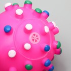 Игрушка пищащая "Бактерия" для собак, 6,3 см, розовая - Фото 2