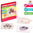Развивающий набор «Найди мордочку» - Фото 1