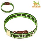 Ошейник брезентовый однослойный, безразмерный, 57×2.5 см, ОШ 25-45 см, хаки, зелёный - Фото 2