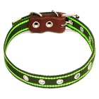 Ошейник брезентовый однослойный, безразмерный, 57×2.5 см, ОШ 25-45 см, хаки, зелёный - Фото 3