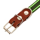 Ошейник брезентовый однослойный, безразмерный, 57×2.5 см, ОШ 25-45 см, хаки, зелёный - Фото 5