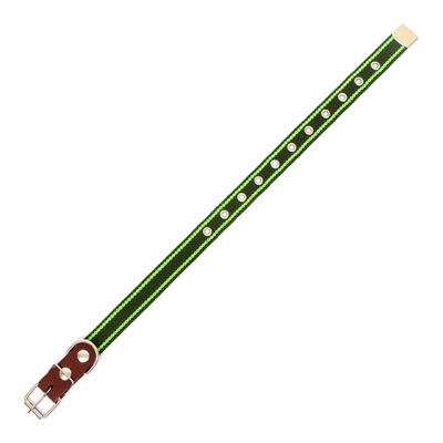 Ошейник брезентовый однослойный, безразмерный, 57×2.5 см, ОШ 25-45 см, хаки, зелёный