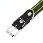 Ошейник брезентовый безразмерный двухслойный, хаки/зелёный, 67×3 см, ОШ до 55 см - Фото 6