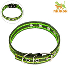 Ошейник брезентовый безразмерный двухслойный, 50×2 см, ОШ 22-45 см, хаки/зелёный - Фото 2